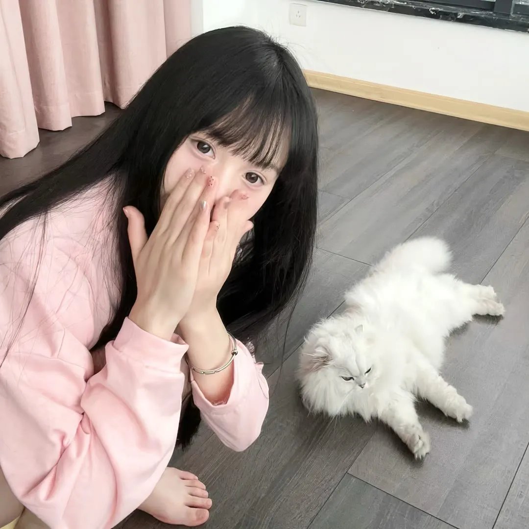 光影之妓